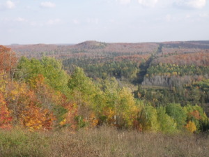 DSCF1081